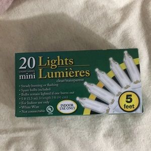 Mini Christmas lights